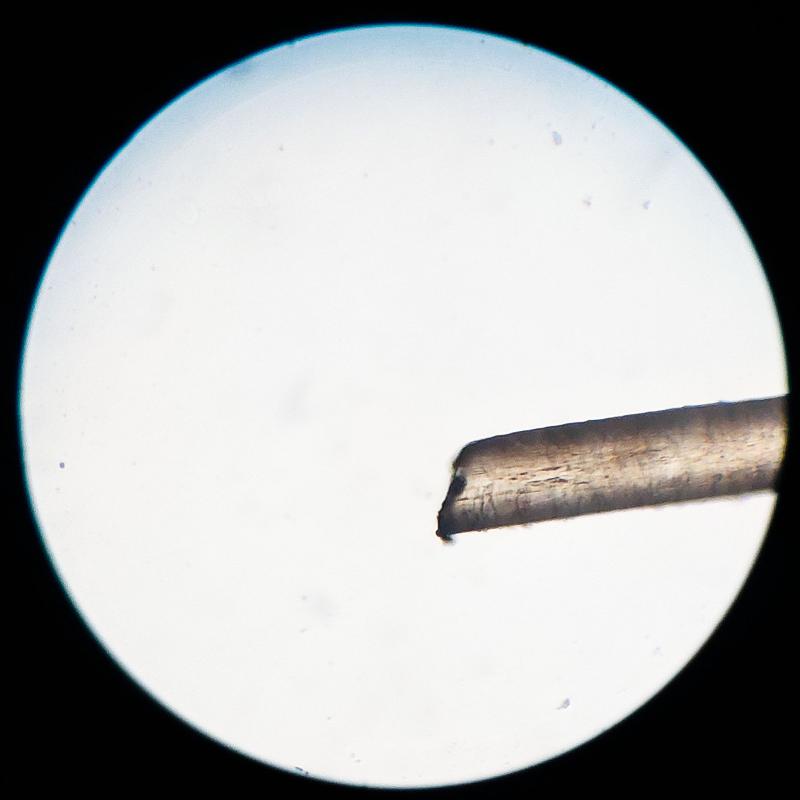 20231101_02_hius_kärki