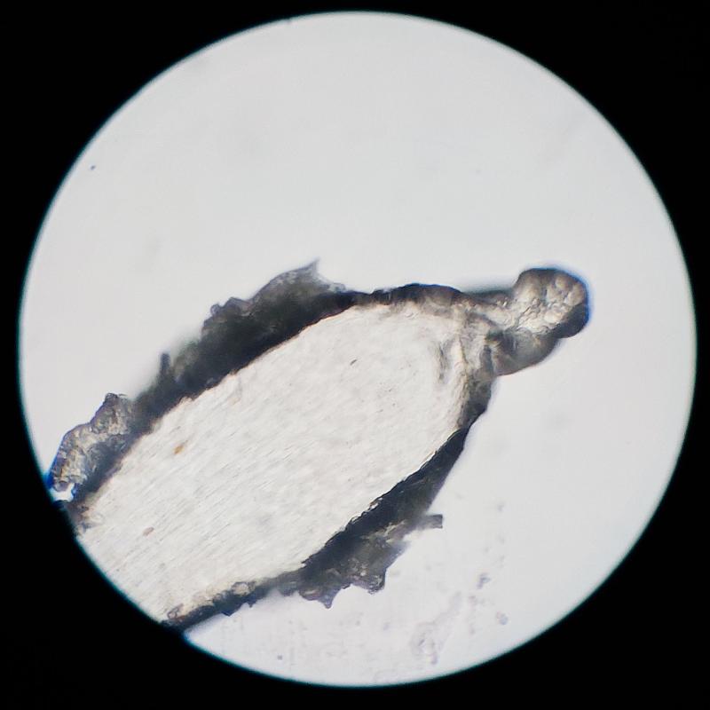 20231101_05_hiustuppi