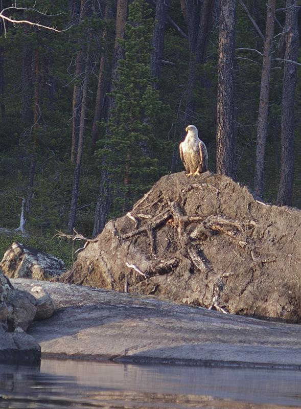 IMG 2581-Enhanced-NR